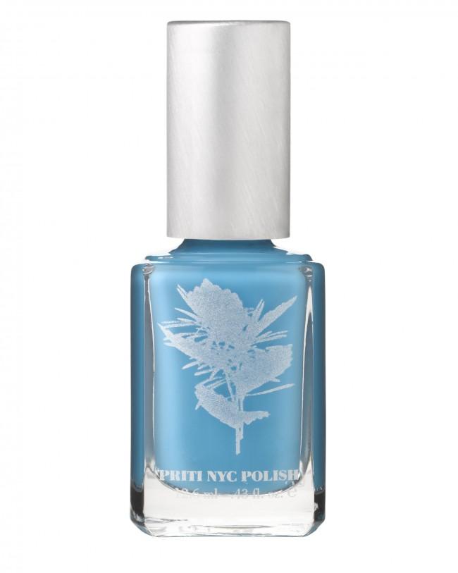 665 - Chilean blue crocus_300dpi