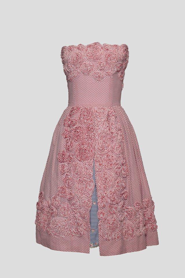 Liebling-Lena-Hoschek-Amore-Dress-modepilot-blog