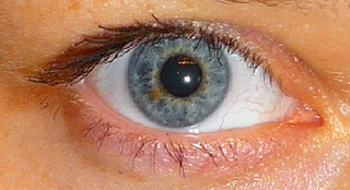 Wimpern Wachstum Modepilot