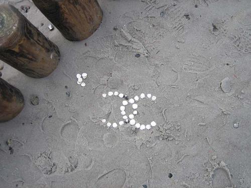 18img_9835-modepilot-chanel-blog-strand-heiligendamm-muscheln