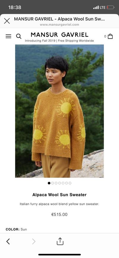 Mansur Gavriel sun Sonne Pullover Modepilot