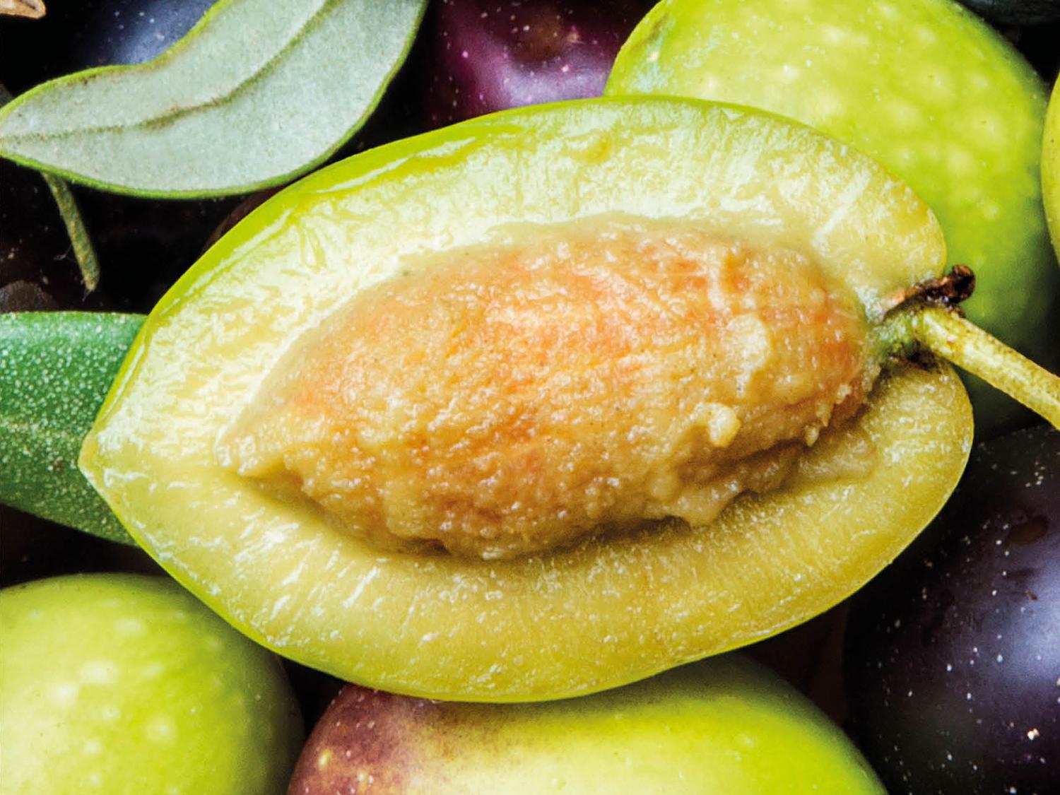 Neues vom Beauty Pro: Polyphenole