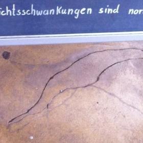 Alles halb so wild