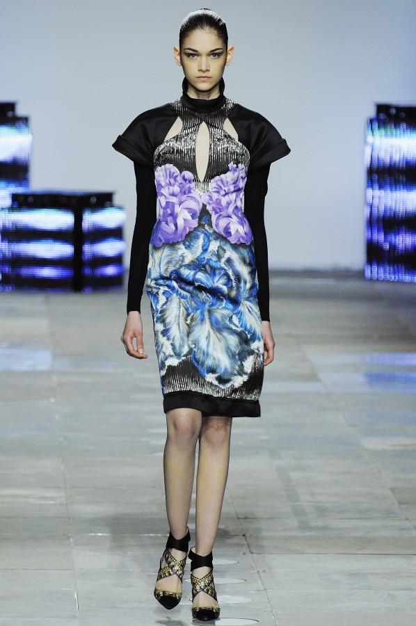peter_pilotto_aw12_0492