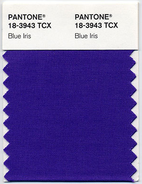 Pantone Blue Iris Modepilot