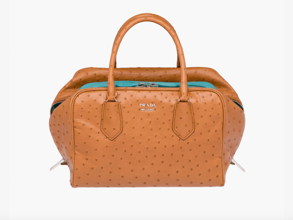 PETA kauft Prada-Aktien