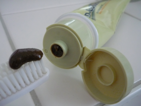 Twin Lotus toothpaste Modepilot