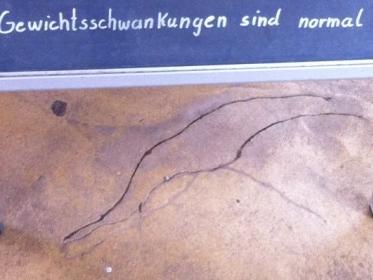 Alles halb so wild