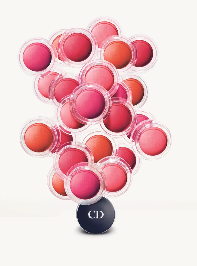 Modepilot-Blog-Modeblog-Fashionblog-Dior-Cheek Blush-Diorblush