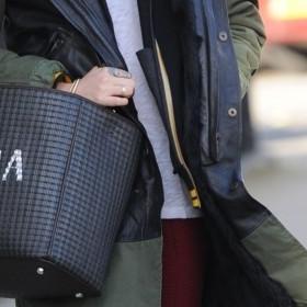 Fendi: Anna-mania