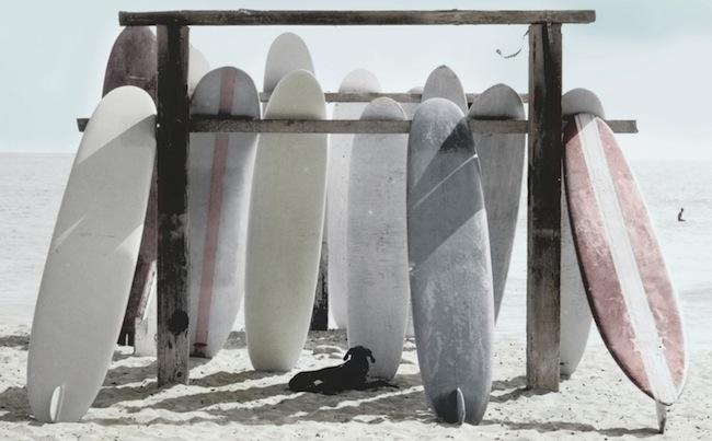 UGG Australia Boards