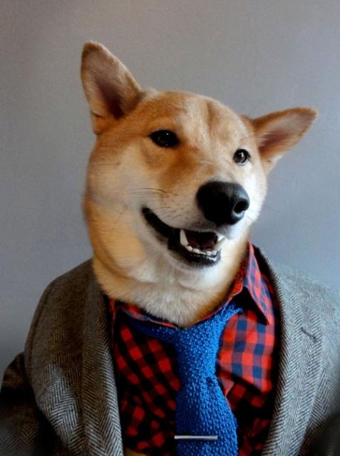 modepilot-blog-menswear-dog-hunde