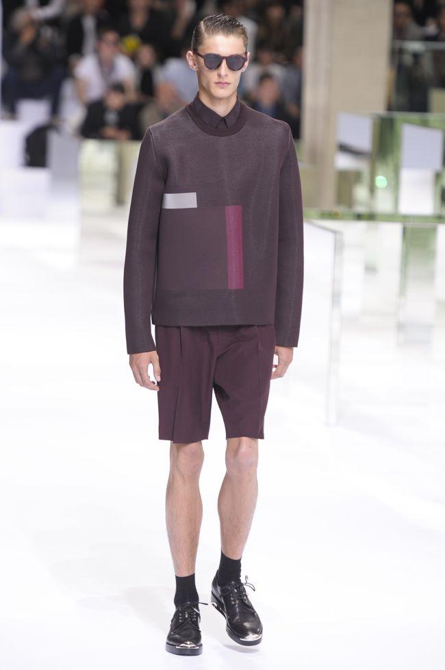 Dior Homme