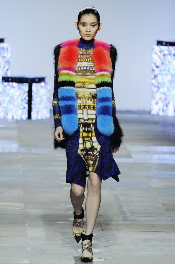 peter_pilotto_aw12_0282