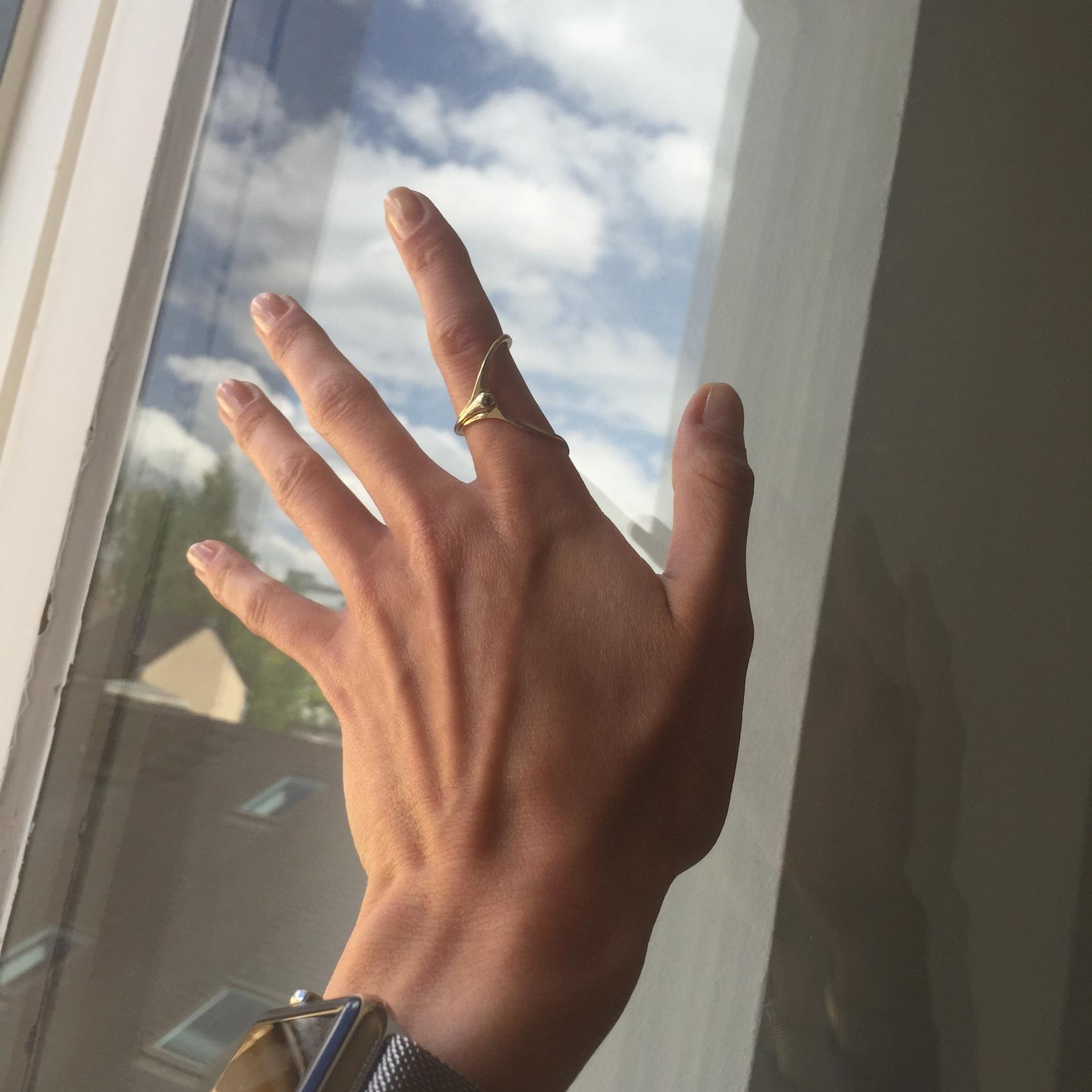 Rauchschwalbe von Helena Christensen für Skagen