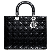 Lady Dior Modepilot
