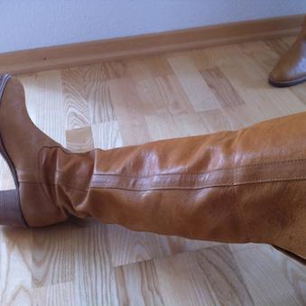Was hat mich denn da geritten?