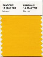 PANTONE-14-0848-Mimosa