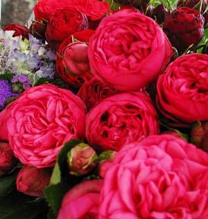 thierry-boutemy-modepilot-blumen-florist-brüssel-blog